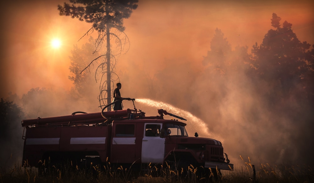 Emergenza climatica è diventata la parola dell'anno secondo Oxford